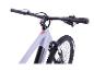 Elektrisches Mountainbike mit grauem Rahmen, schwarzem Lenker und Display.