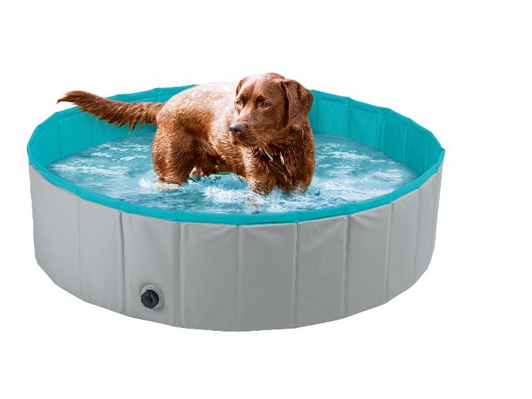 Brauner Hund steht in einem faltbaren Haustierpool voller Wasser.