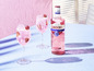 Zwei Gläser Gordon's Alcohol Free Premium Pink Gin mit Beeren.