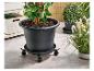 Großer Pflanztopf auf Rollen, mit anderen Pflanzen und Gartenartikeln.