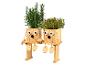 Holzpflanzgefäße mit Gesichtern und Kräutern, Rosmarin und Thymian.