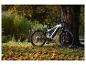 Dice E-Mountainbike in herbstlicher Umgebung.