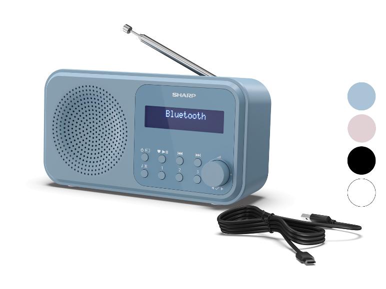 Blaues Bluetooth-Radio mit Antenne und USB-C-Kabel, neben einer Farbpalette.