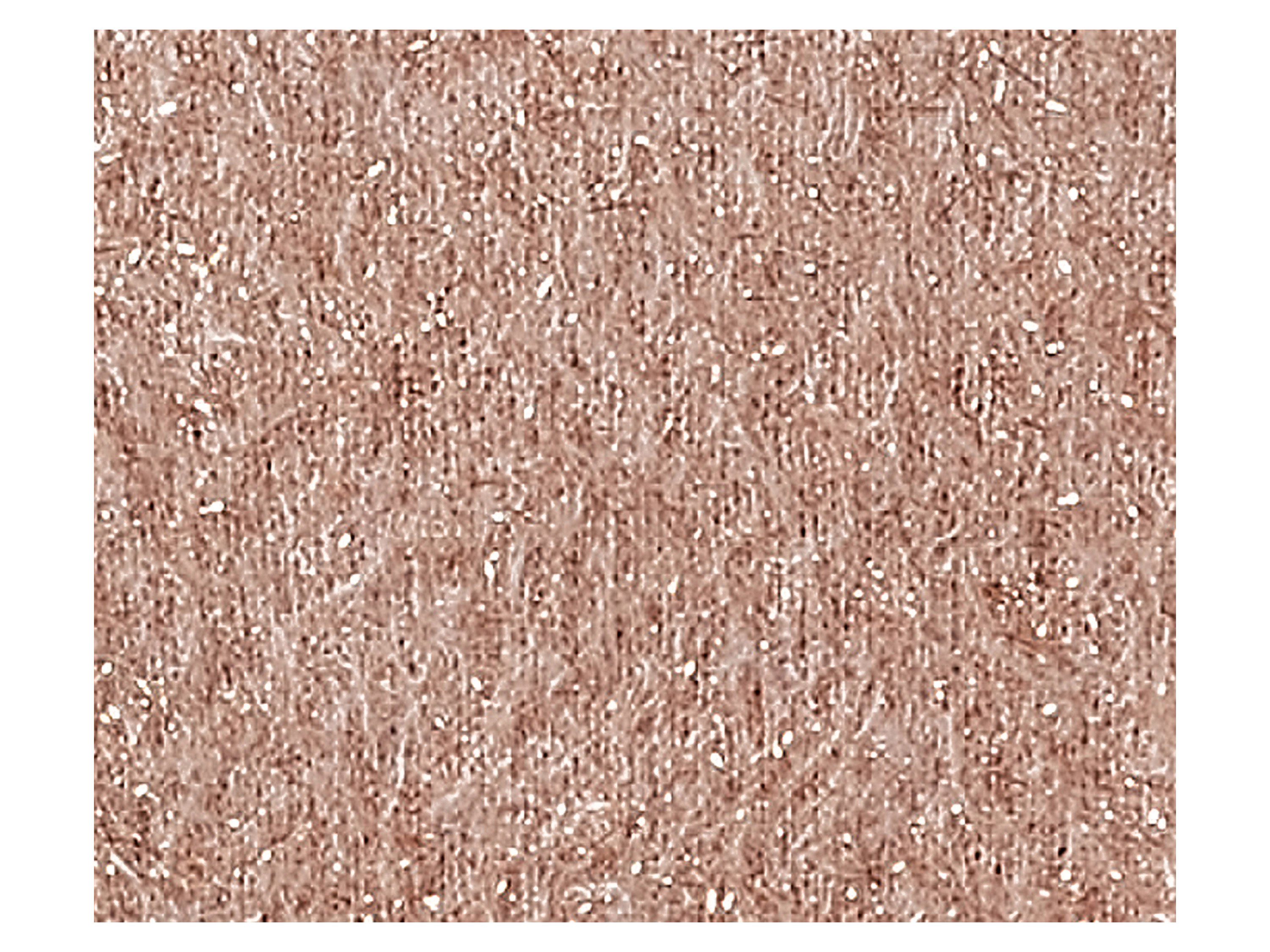 Thumbnail - esmara® Damen Strickpullover (Beige, S(36/38))