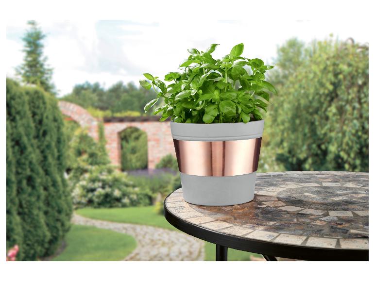Basilikumpflanze in grauem und kupferfarbenem Topf auf einem Mosaiktisch im Garten.
