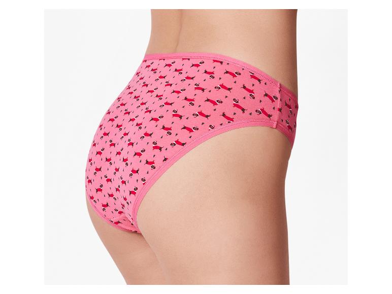 Damen Slips, 5 Stück