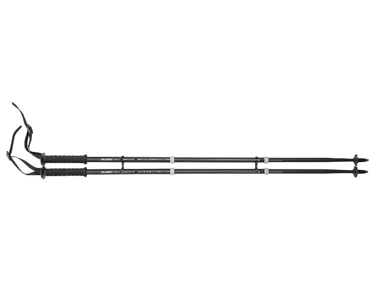 Ein Paar schwarze Nordic-Walking-Stöcke mit verstellbaren Schlaufen und Längenmarkierungen.