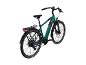 Grünes E-Bike mit Gepäckträger und schwarzen Schutzblechen, Rückansicht.