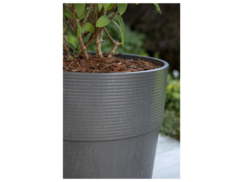 Ein grauer Blumentopf mit einer Pflanze