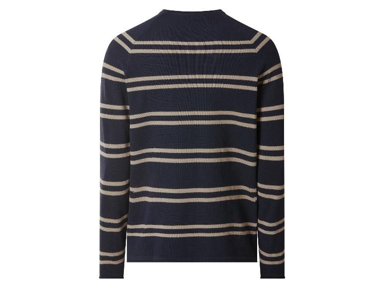 Gestreifter Langarmpullover für Herren in Marineblau und Beige, Rückansicht.