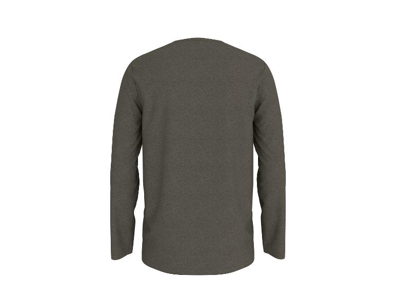 Herren-Langarmshirt in Grau, Rückansicht