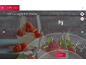 Rezeptbildschirm mit Anweisungen zum Hinzufügen von 25g Zucker und einer Gewichtsanzeige.