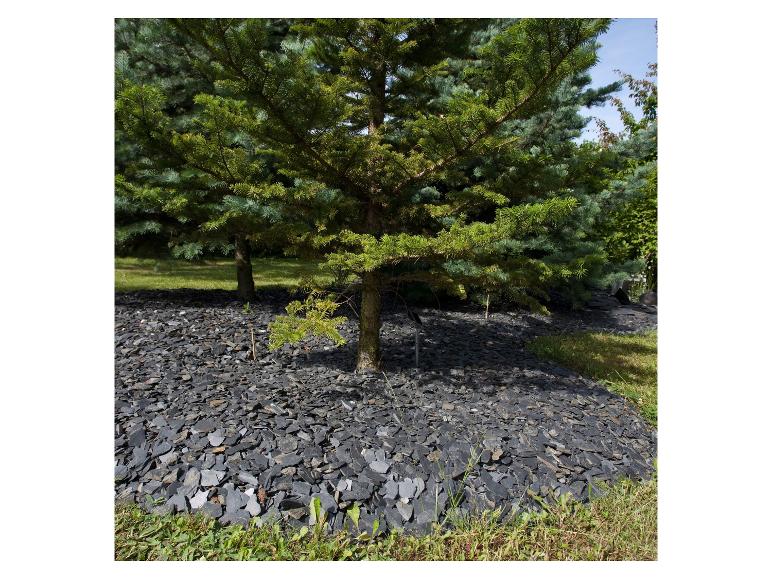 Grüne Bäume mit dunklem Schiefermulch und Gras