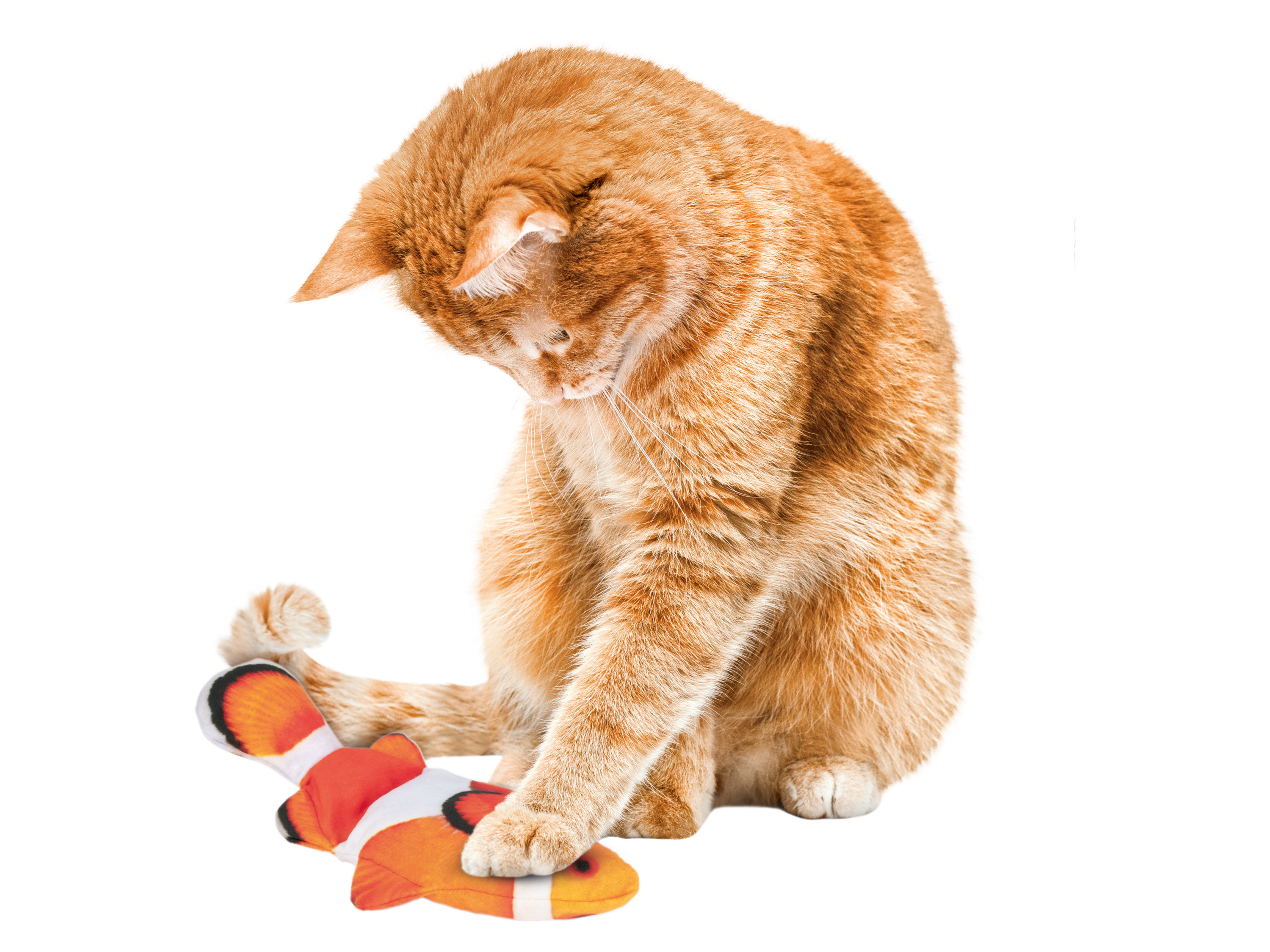 Thumbnail - zoofari® Katzenspielzeug elektronisch (Fisch 2er Set)""