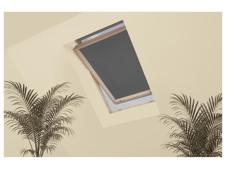 Dachfenster mit dunklem Rollo und Palmen darunter.