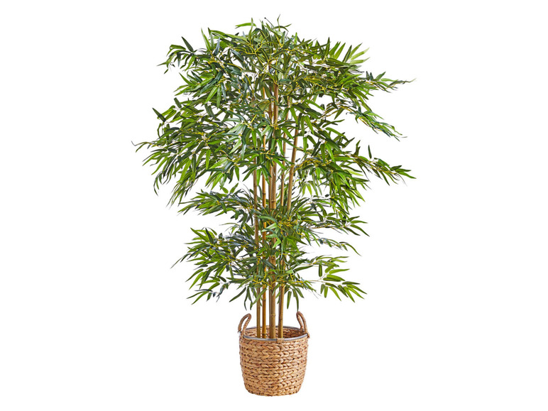 Gehe zu Vollbildansicht: Pureday Kunstpflanze Bambusbaum, mit Naturstamm - Bild 3
