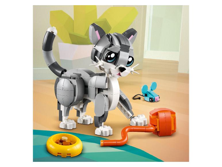31163 Playful Cat