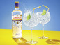 Eine Flasche Gordon's London Dry Gin mit zwei Gläsern Gin Tonic.