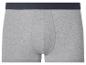 Graue Herren-Boxershorts mit dunkelblauem Bund.