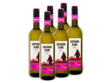6 x 0,75-l-Flasche Weinpaket CIMAROSA Chile Sauvignon Blanc trocken, Weißwein