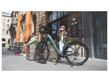 E-Bikes & Pedelecs gnstig online kaufen - Lidl.de