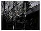 LIVARNO® Leuchtschlauch »The Renovator« auf Gerüst, beleuchtet dunklen Wald.