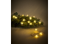 Sternförmige Lichterkette auf einem Tannenzweig, die festliche Stimmung erzeugt.