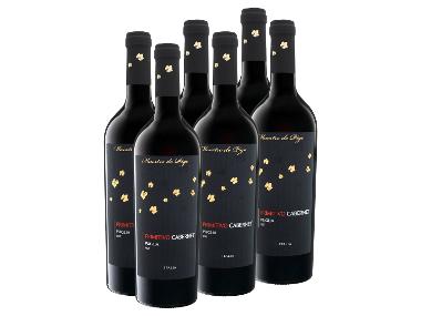 6 x 0,75-l-Flasche Weinpaket Primitivo Cabernet Puglia IGT halbtrocken, Rotwein