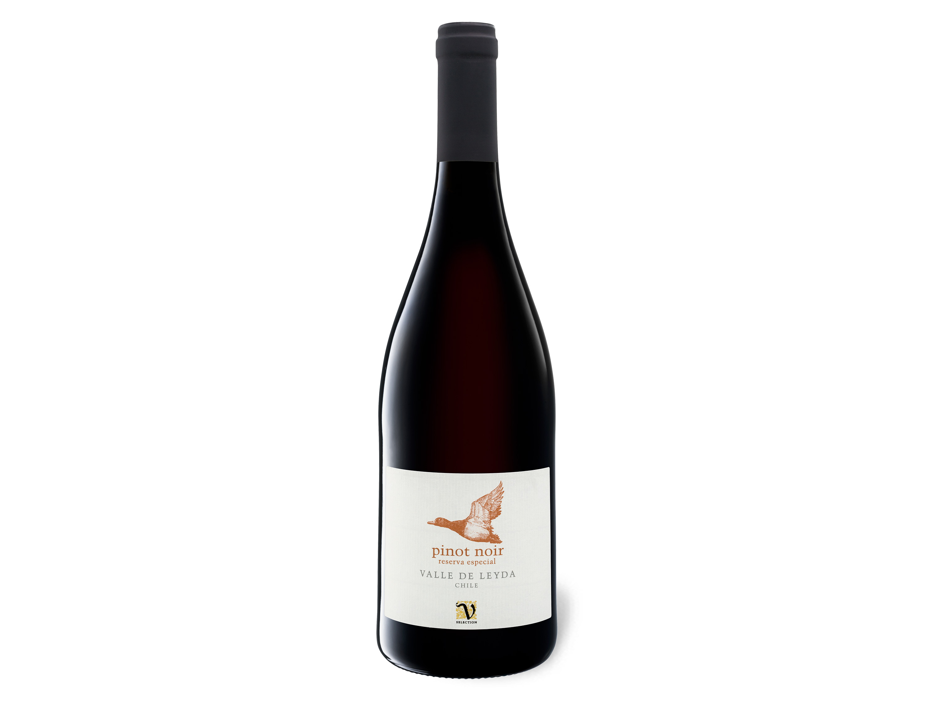 VIAJERO Pinot Noir Chile Valle de Leyda trocken, Rotwein 2019 Wein & Spirituosen Lidl DE
