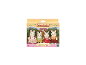 Ein Sylvanian Families Schokoladenhasenfamilien-Set mit vier Hasenfiguren in einer Box.