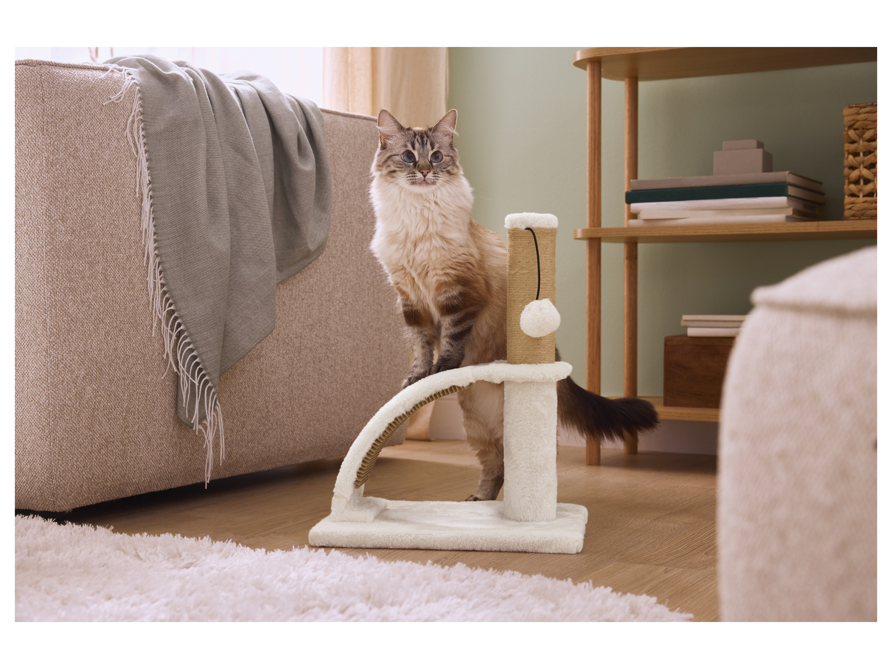Thumbnail - zoofari® Katzen Kratzstamm mit Massageelementen (Kratzstamm mit Massagebrett)