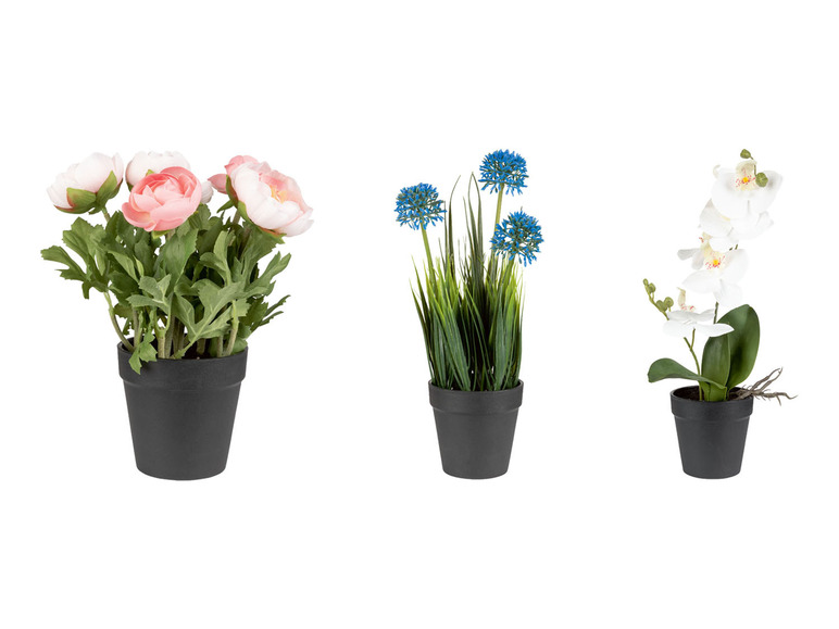 Gehe zu Vollbildansicht: LIVARNO home Kunstpflanze Orchidee / Blaulauch / Ranunkel - Bild 1