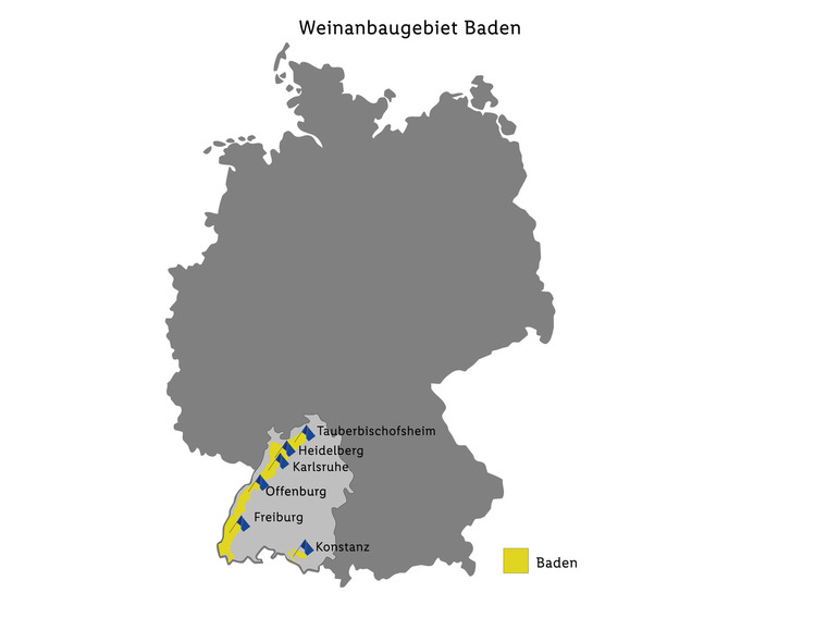 trocken, Selection Terroir Spätburgunder Rotwein Baden Vulkanfelsen 2020 QbA