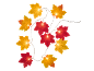 Lichterkette mit Herbstblättern
