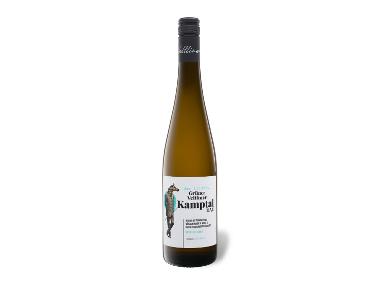 Grüner Veltliner Kamptal DAC trocken, Weißwein 2024