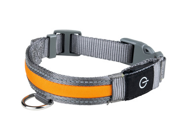 zoofari® - LED-Hundeleuchtband, mit wiederaufladbarem Akku  