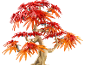 Plastik-Bonsai-Baum mit roten und orangefarbenen Blättern vor schwarzem Hintergrund.