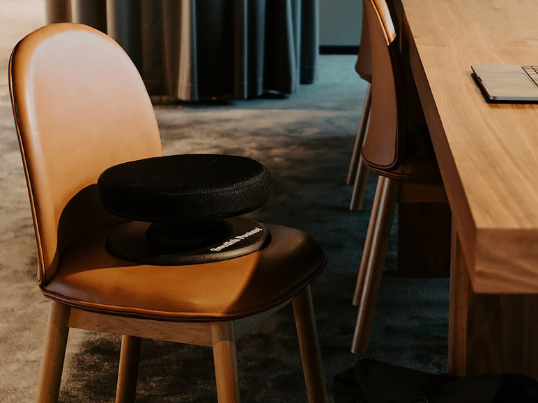 Swedish Posture Balance Core Training Sitz LIDL