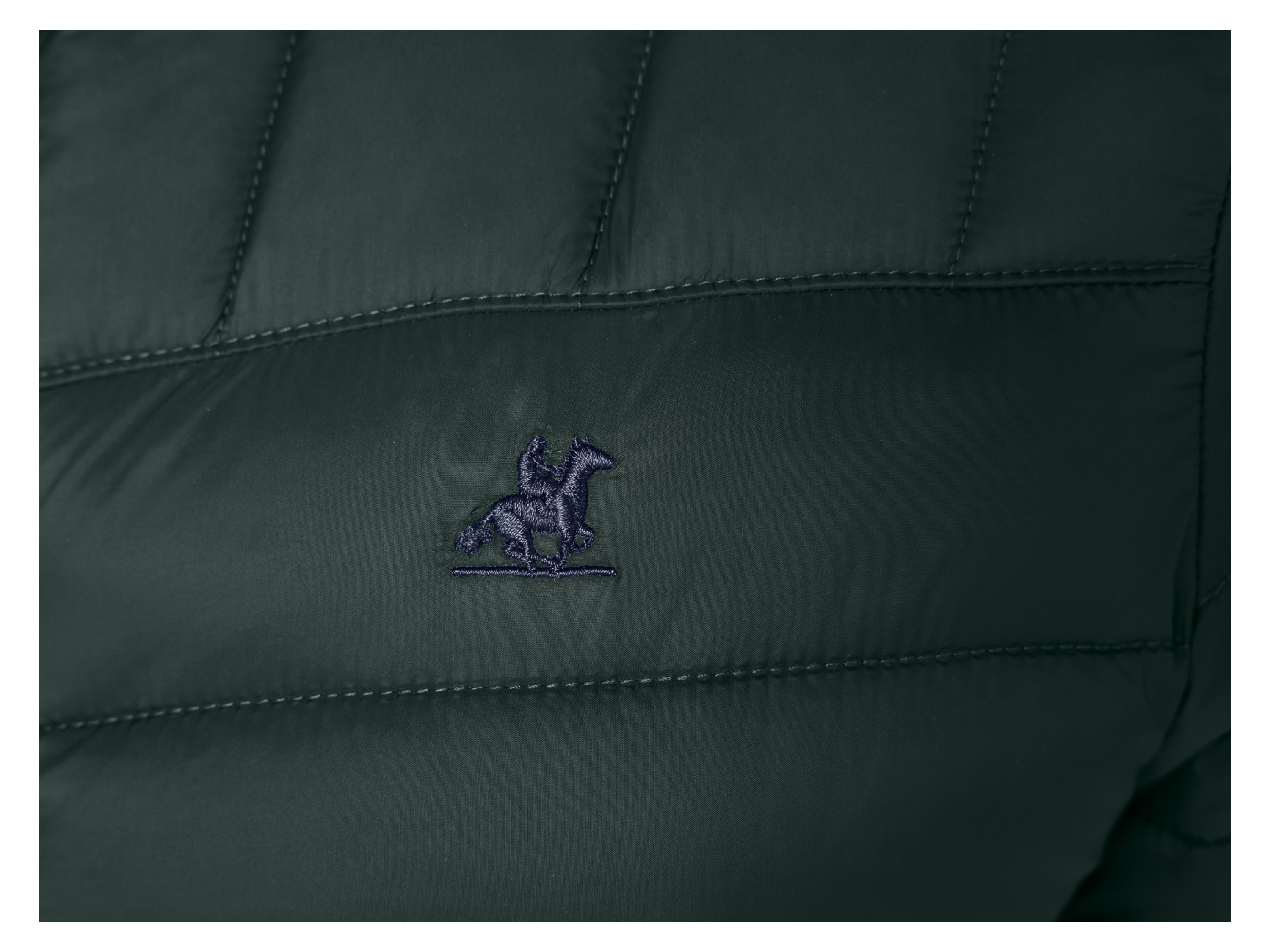 Thumbnail - esmara Men Herren Jacke Lightweight (Grün, S (44/46))