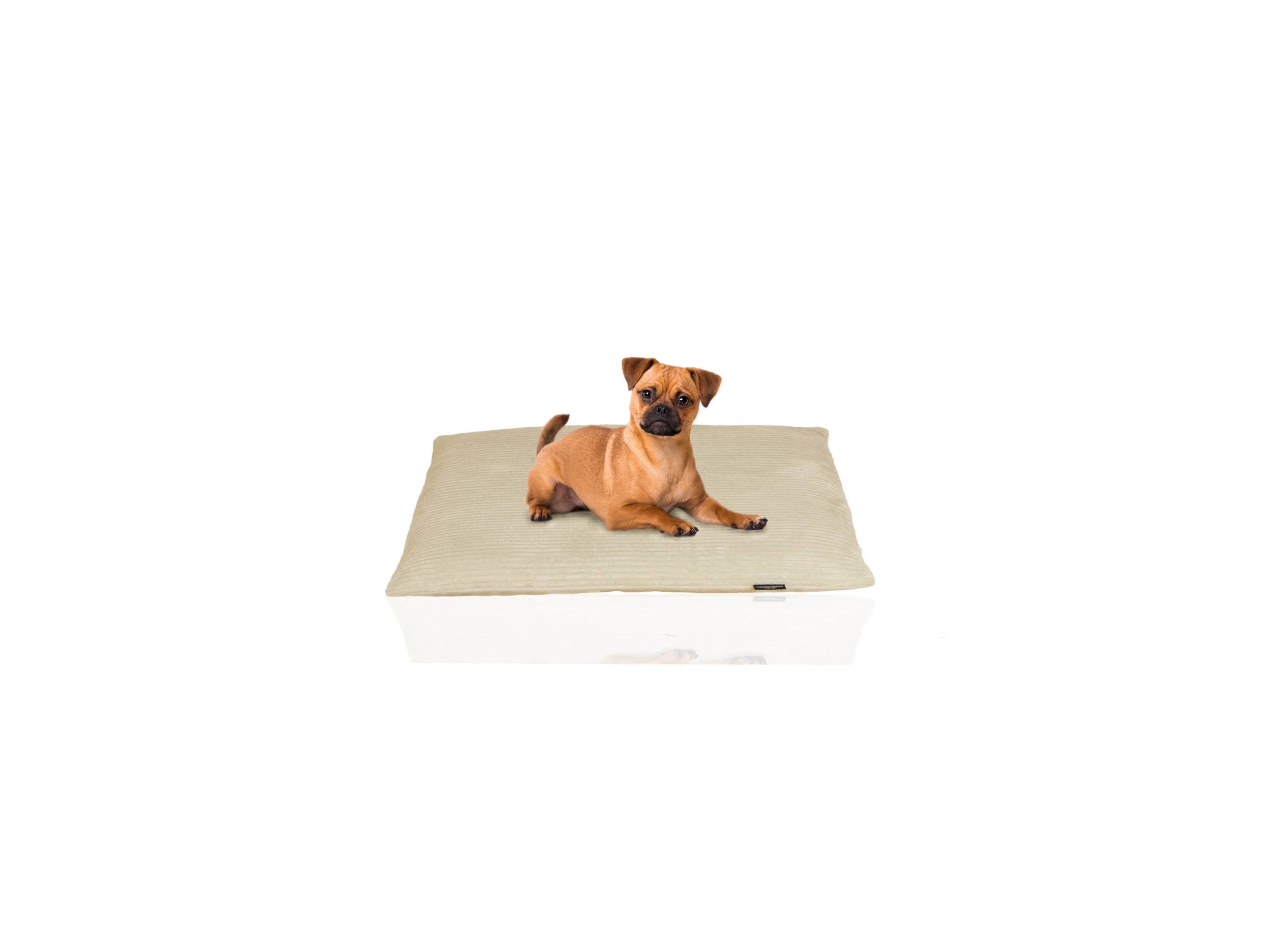 Thumbnail - ROHRSCHNEIDER Kuschelbett Cozy (Gr. 2)