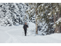Mann beim Langlaufen mit Stöcken auf einem verschneiten Weg durch einen Winterwald.