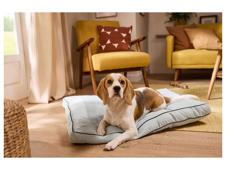 Beagle-Hund liegt auf grauem Hundekissen in einem Wohnzimmer mit gelben Möbeln.