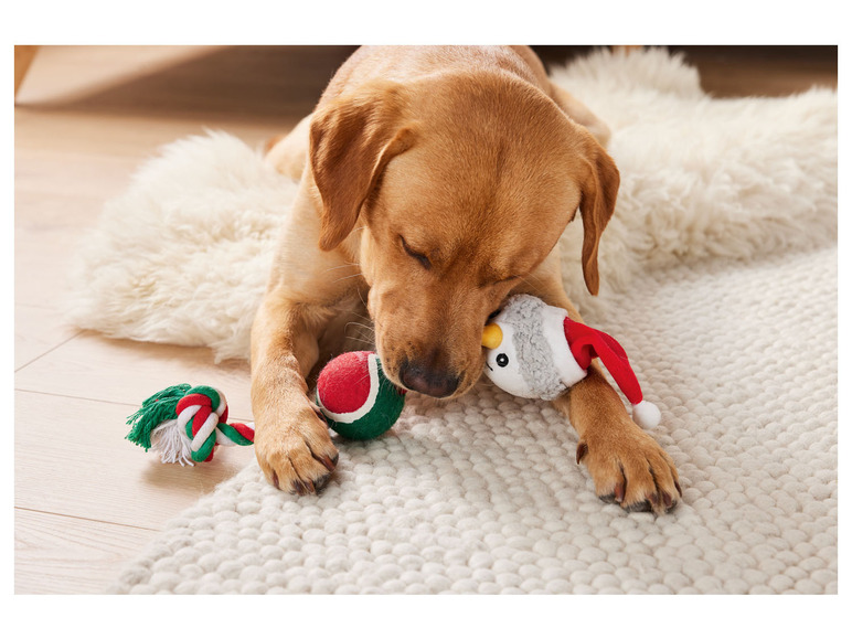 Gehe zu Vollbildansicht: Zoofari Weihnachtsspielzeug, für Hund und Katze - Bild 3