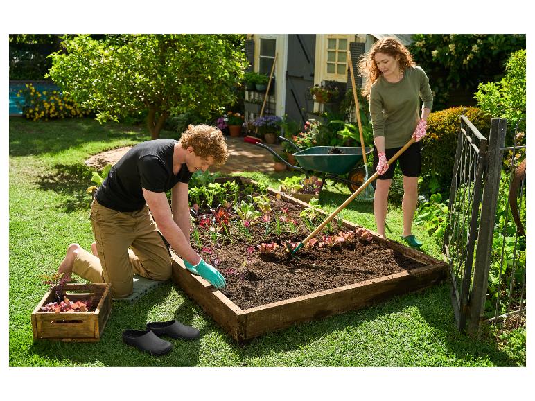 Paar pflanzt Gemüse in einem Hochbeet, mit Gartengeräten und einer Schubkarre.