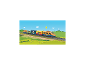 Spielzeugeisenbahn mit bunten Waggons mit Zeichentricktieren, die durch eine grüne Landschaft fährt.