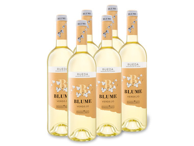 6 x 0,75-l-Flasche Weinpaket Blume Verdejo Selección Rueda DO trocken, Weißwein