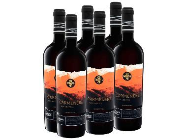 6 x 0,75-l-Flasche Weinpaket VIAJERO Valle del Rapel Carménère Gran Reserva trocken, Rotwein