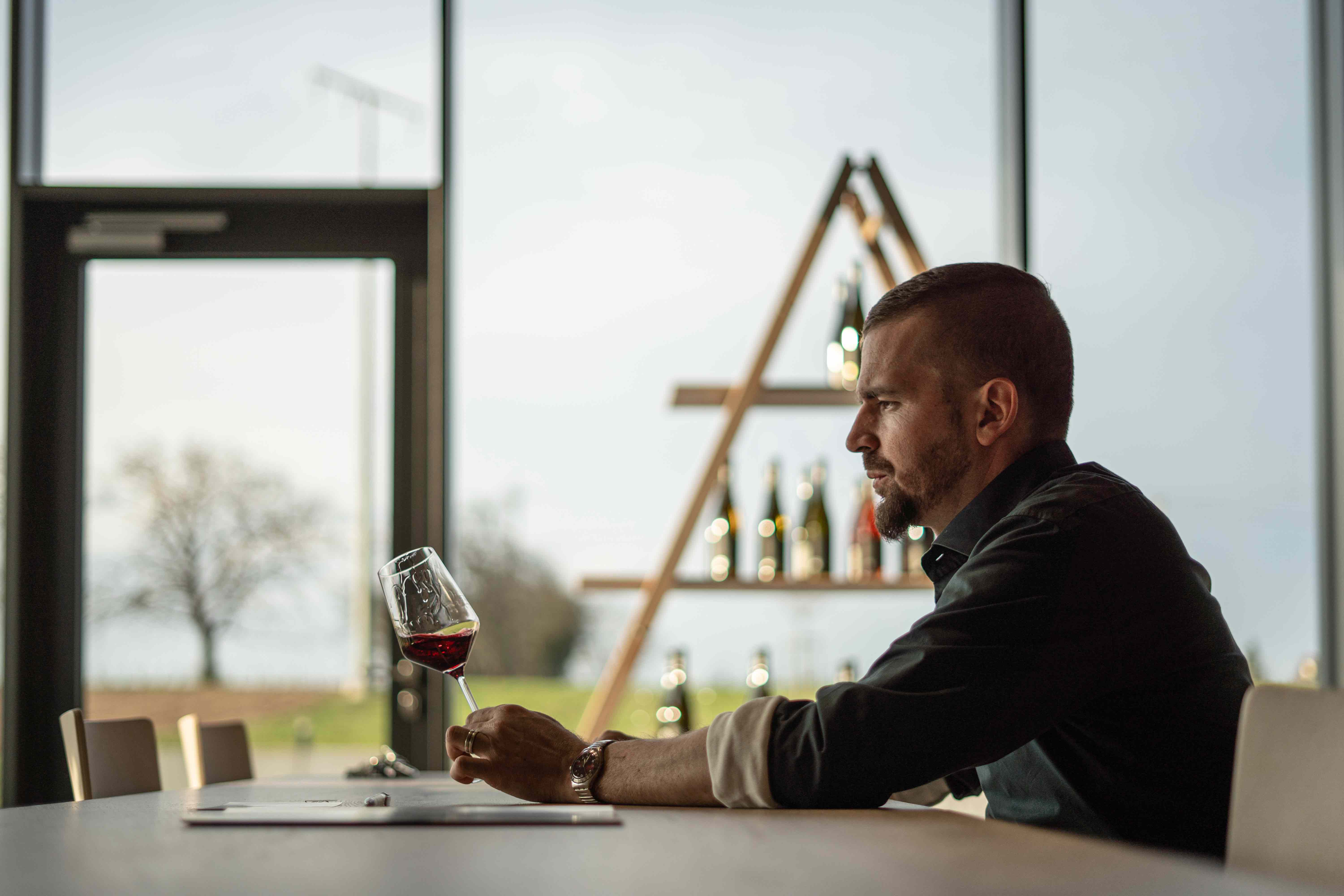 trocken, Sauvignon QbA Weißwein Wein 2021 by Nett Blanc