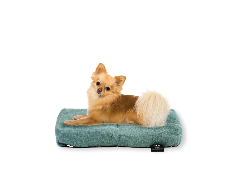 martin rütter hundebett Hundebett mit Wendekissen Cozycord – Martin Rütter SHOP main image 1