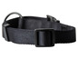 Ein schwarzes Hundehalsband mit Schnalle.